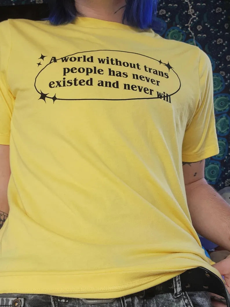 a world without trans people shirt-rain faerie shop-rain faerie shop