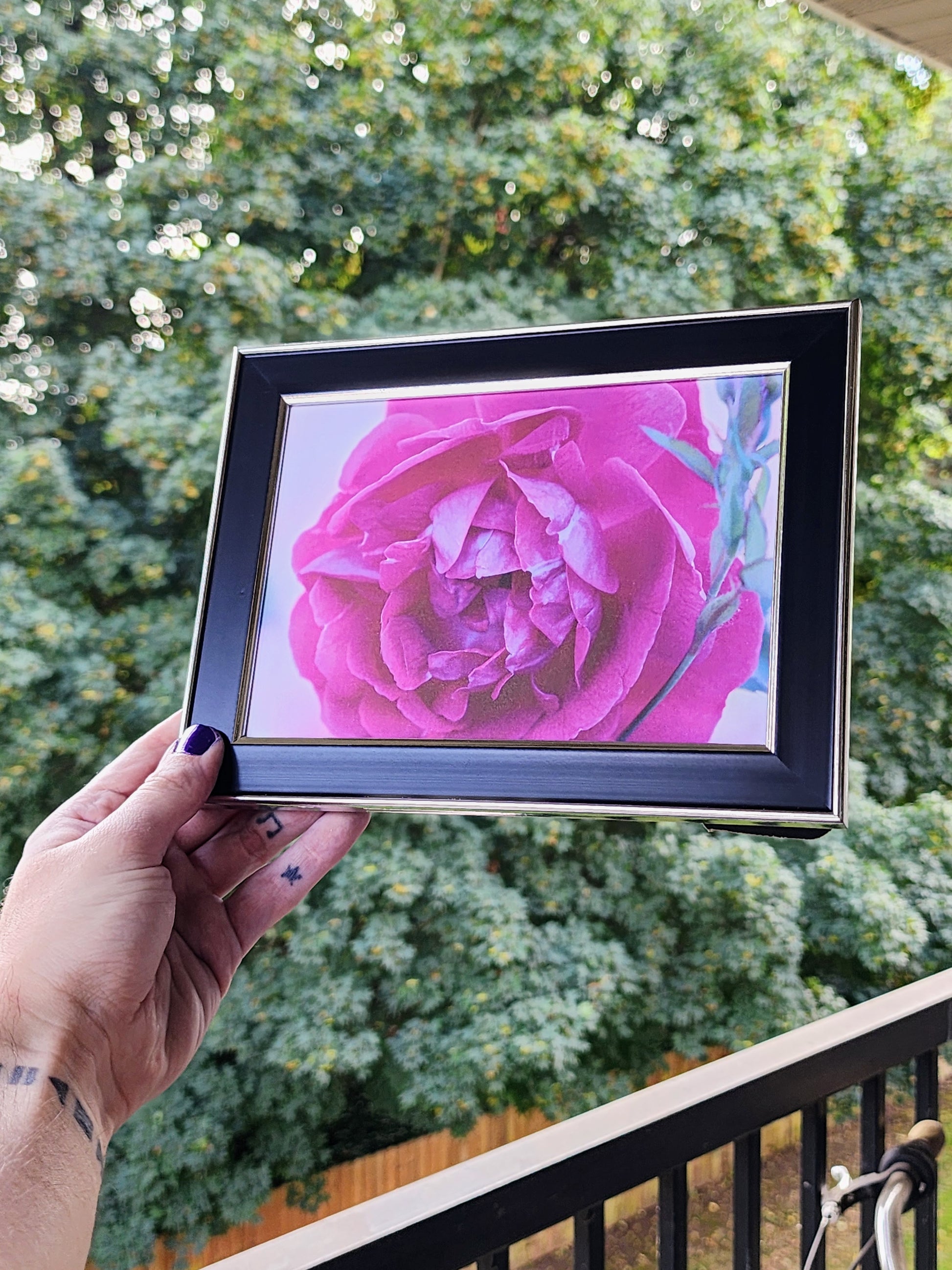 rose | photography print | 5 x 7"-rain faerie shop-rain faerie shop