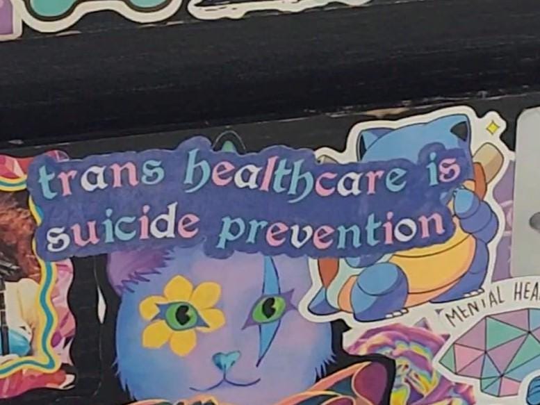 trans healthcare is suicide prevention sticker-My Store-rain faerie shop