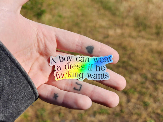 holographic gender equality sticker | a boy can wear a dress if he wants | waterproof-My Store-rain faerie shop
