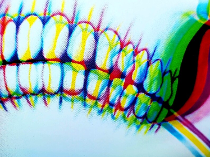 rose in the ruins print | 5 x 7" | framed-rain faerie shop-rain faerie shop