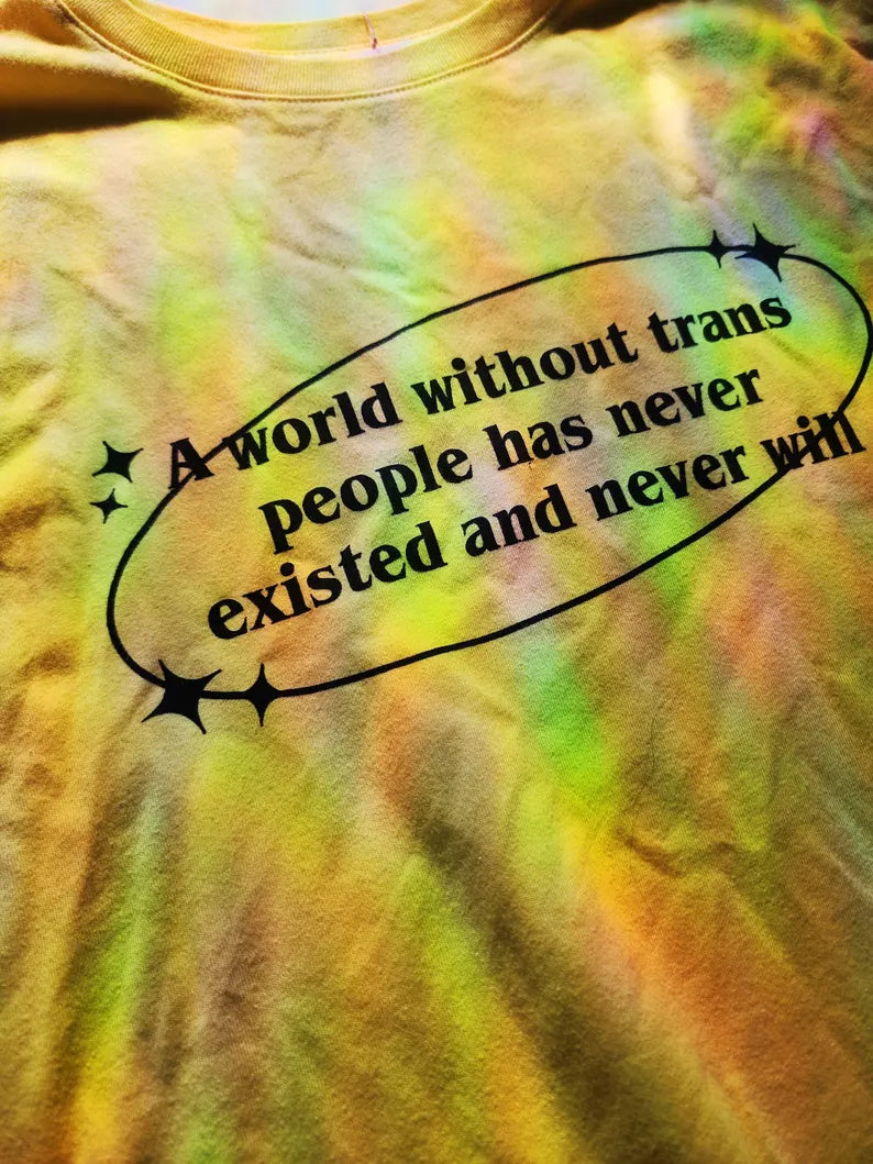 a world without trans people shirt-rain faerie shop-rain faerie shop
